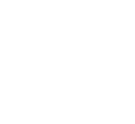 Black Stallion